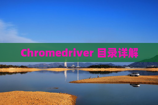 Chromedriver 目录详解